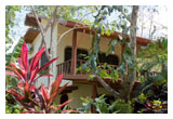 Tortuga Suites - Del Sol