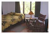 Tortuga Suites - Del Mono