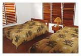 Tortuga Suites - Del Sol